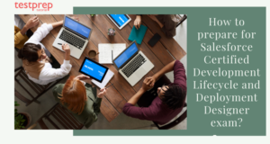 Salesforce Development Lifecycle and Deployment Designer Study Guide