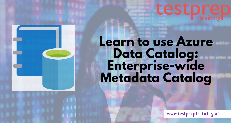 Learn to use Azure Data Catalog
