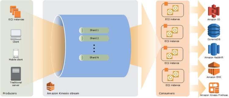 determine the operational characteristics of the collection system