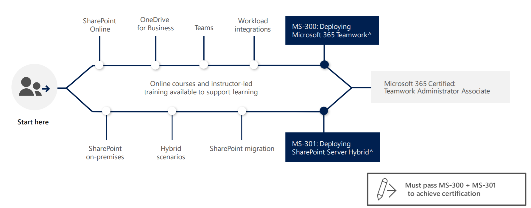 Exam MS-300 Learning Path