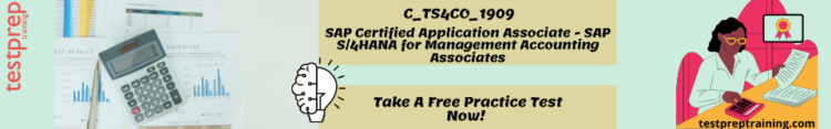 C_TS4CO_1909 Practice Test 