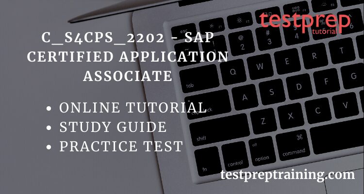 C_S4CPS_2202
