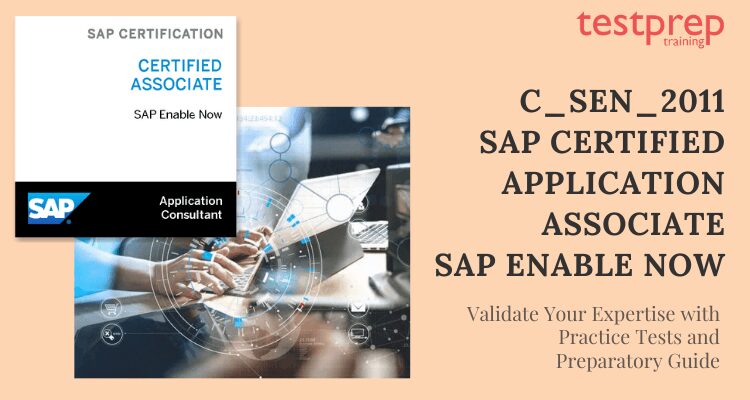 SAP C_SEN_2011 Online tutorial