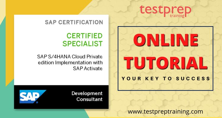 SAP E_S4CPE_2021 Online tutorial
