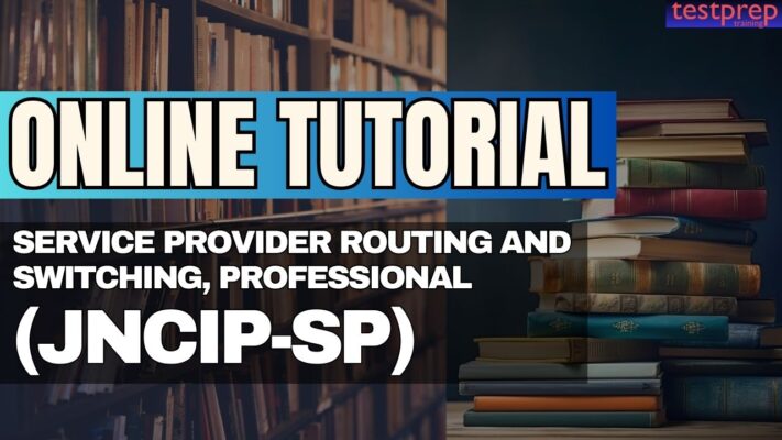 Service Provider Routing and Switching, Professional (JNCIP-SP)